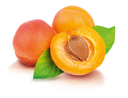 Cancer et laetrile: Tmoignage d'une gurison spectaculaire... et interdite! 