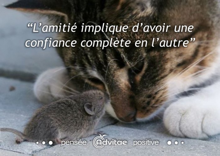 L’amitié implique d’avoir une confiance complète en l’autre