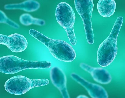 Tetanos: Non, le vaccin ne vous prot�ge pas de la maladie. Tout est faux sur les pr�tentions de la vaccinologie. 