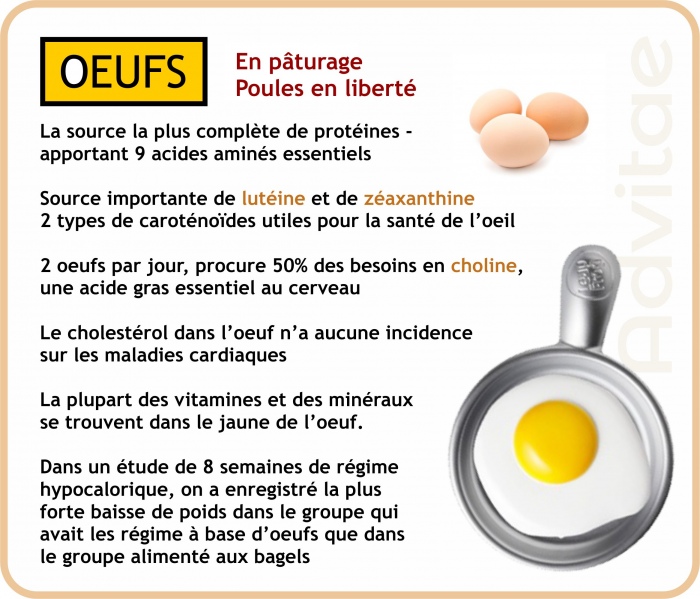Les oeufs sont une excellente source ce protéines et de plusieurs nutriments essentiels