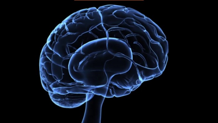 Il gurit son cancer terminal du cerveau grce  des traitements alternatifs interdits