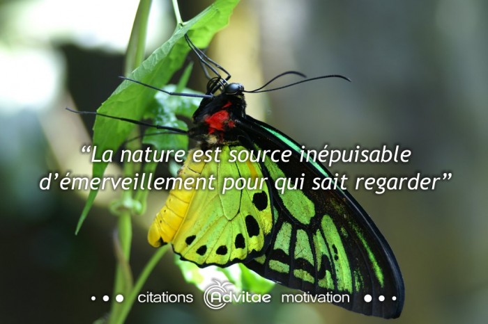 La nature est une source inépuisable d’émerveillement pour qui sait regarder
