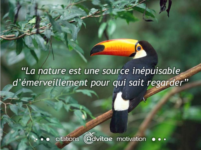 La nature est une source inépuisable d’émerveillement pour qui sait regarder