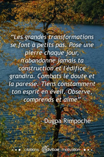 Les grandes transformations se font à petits pas